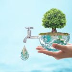 A human hand holds a bowl with a tree and a water tap, illustrating eco-friendly plumbing and water conservation methods.