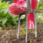 Red rubber gardening boots with a fork in soil, emphasizing outdoor gardening related to root invasion issues.